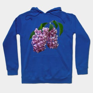 Lilacs - Pink Lilac Duo Hoodie